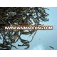 Golden needle black tea